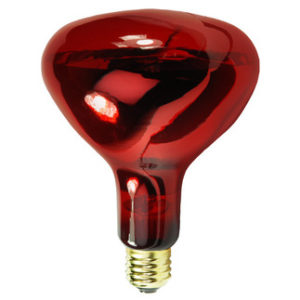 rubylux-near-infrared-bulb-photo